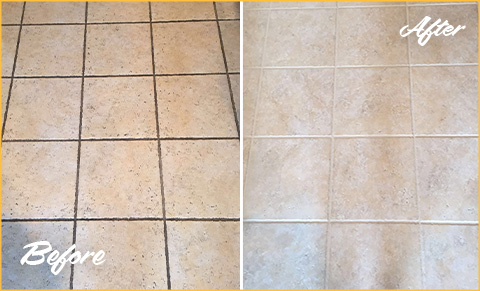 Tru-Steam Tile and Grout Cleaning Savannah, GA.